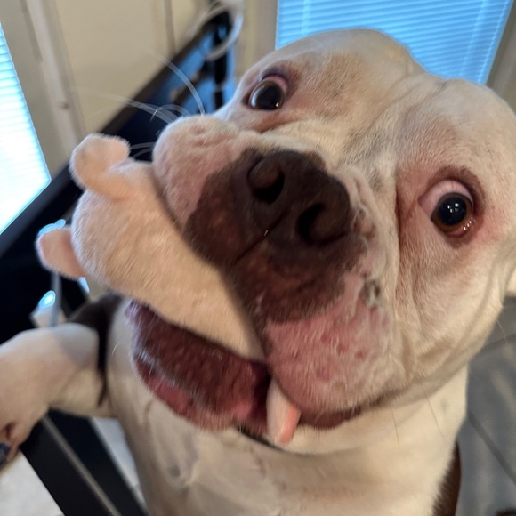 Meet Your Posher, Melody. - Picture 7 of 7